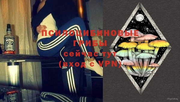 дурь Алзамай