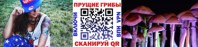 цены наркотик  ОМГ ОМГ как войти  Псилоцибиновые грибы MAGIC MUSHROOMS  Приморск 